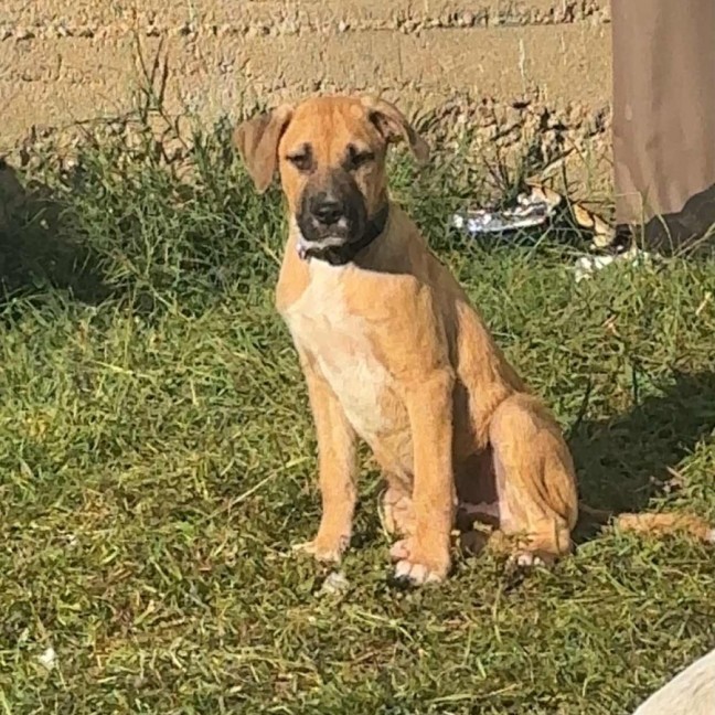 Photo of Vanity Smurf