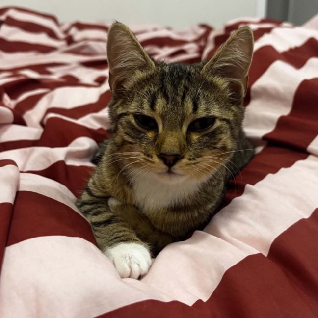 Photo of Mia