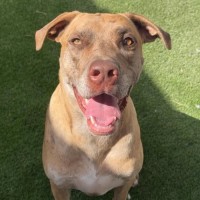 Photo of Duke