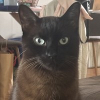 Photo of Milo And Max
