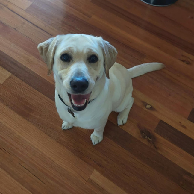 Photo of Lucia (Lucy)