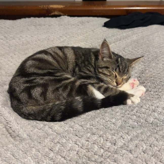 Photo of Leo