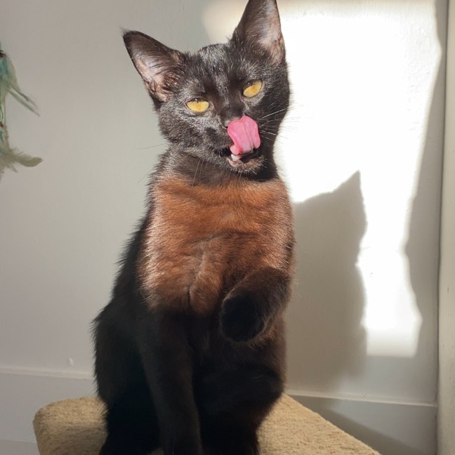 Photo of Lorelei