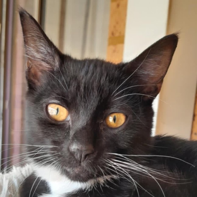 Photo of Mimi