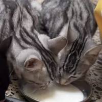 Photo of Otis And Reading