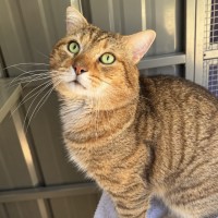 Photo of Trev