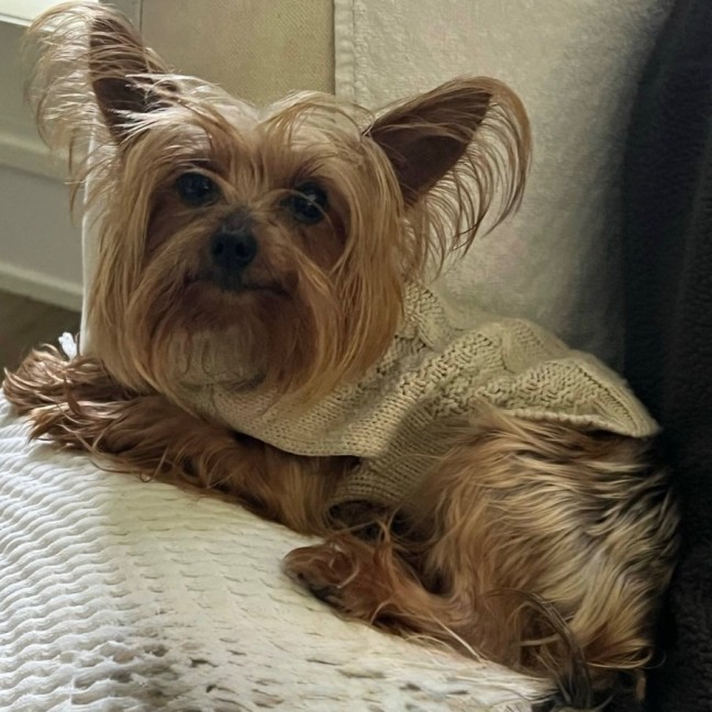 Photo of Tess