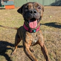 Photo of Winnie