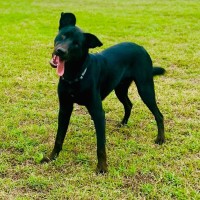 Photo of Jack & Deisel