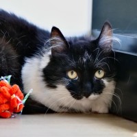 Photo of Maggie