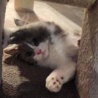 Photo of Molly