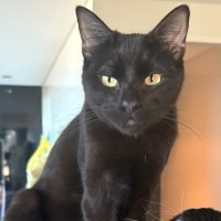 Photo of Alfie