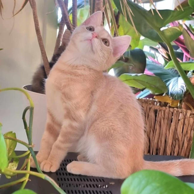 Photo of Penelope Bandit