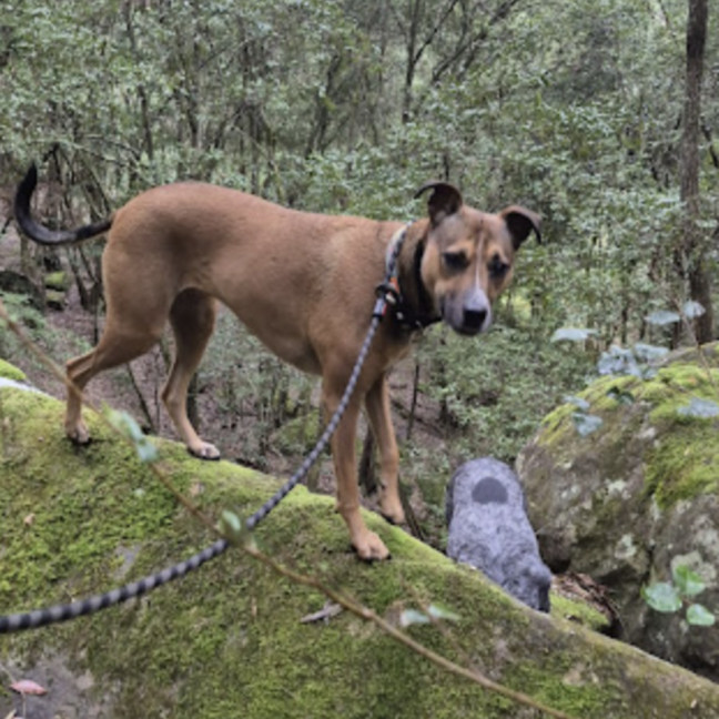Photo of Molly