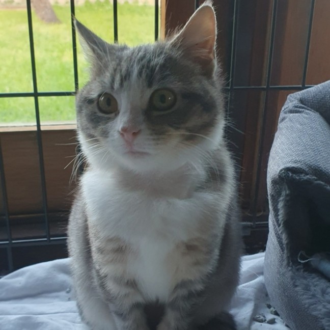 Photo of Teddy Bear 🧸