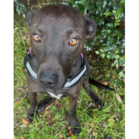 Photo of Molly