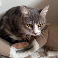Photo of Paisley 