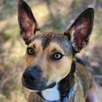 Photo of ⚽ Seamus 5707 ⚽