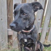 Photo of Maisey