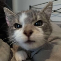 Photo of 🤗Sylvester🤗