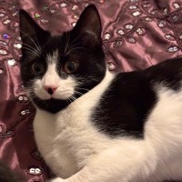 Photo of Dottie