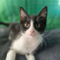 Photo of Miggle