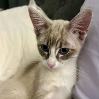 Photo of Skylar