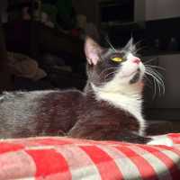 Photo of Lucy