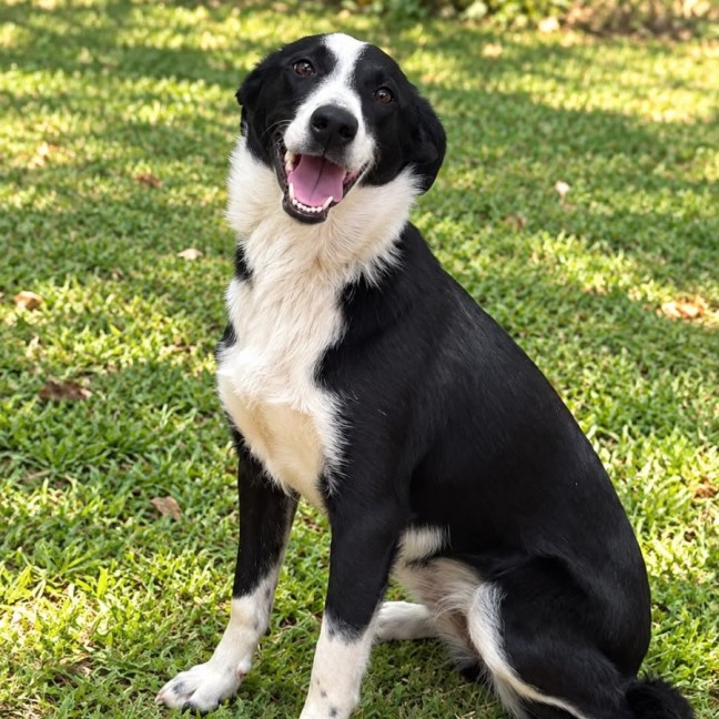 Photo of Gladys