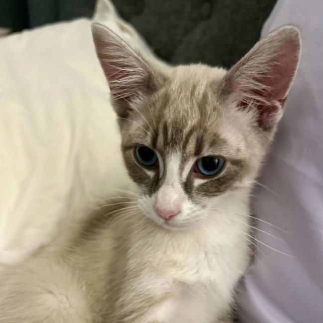Photo of Skylar