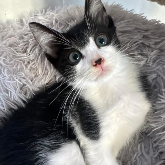 Photo of Hugo