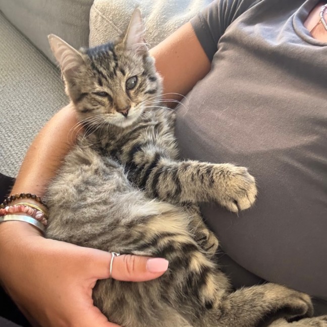 Photo of Padme And Miyagi