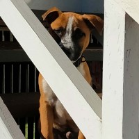 Photo of Bryn