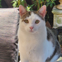 Photo of Bali & Roux