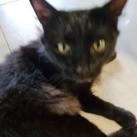 Photo of Vader