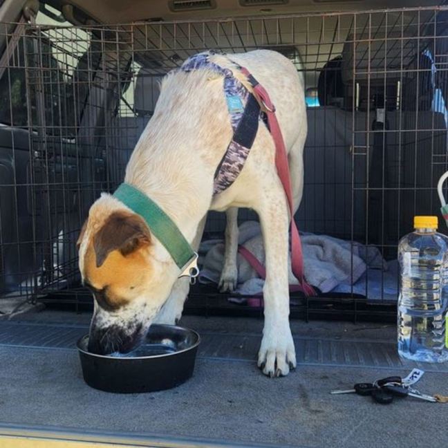 Photo of Ricky Bobby