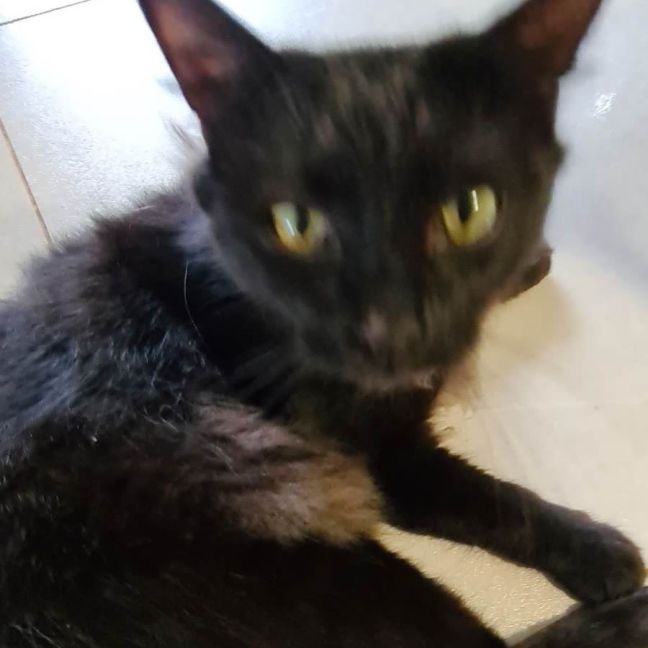 Photo of Vader