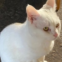 Photo of Chloe Belle 