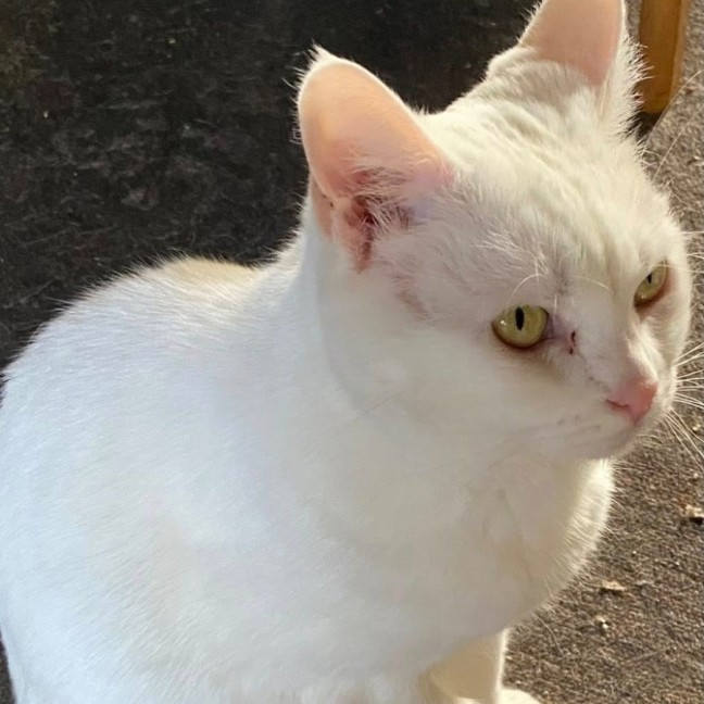 Photo of Chloe Belle 