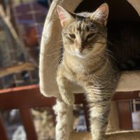 Photo of Robbie. Sweet Little Guy <3