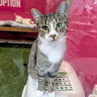 Photo of Twix