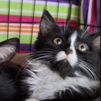 Photo of Norah