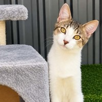 Photo of Georgie