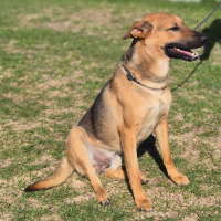 Photo of Hunter