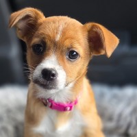 Photo of Wanda