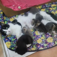 Photo of 🤍  Hannah Banana ❤︎