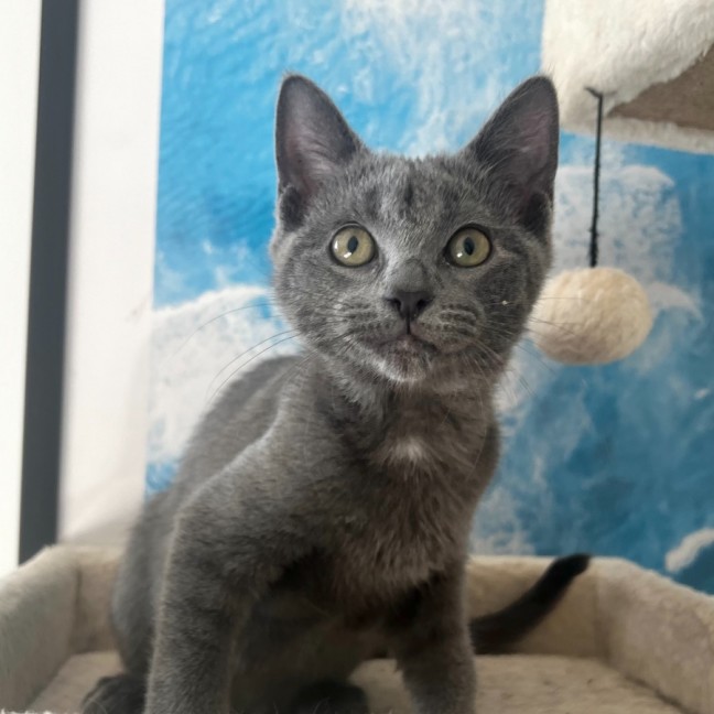 Photo of Elsie