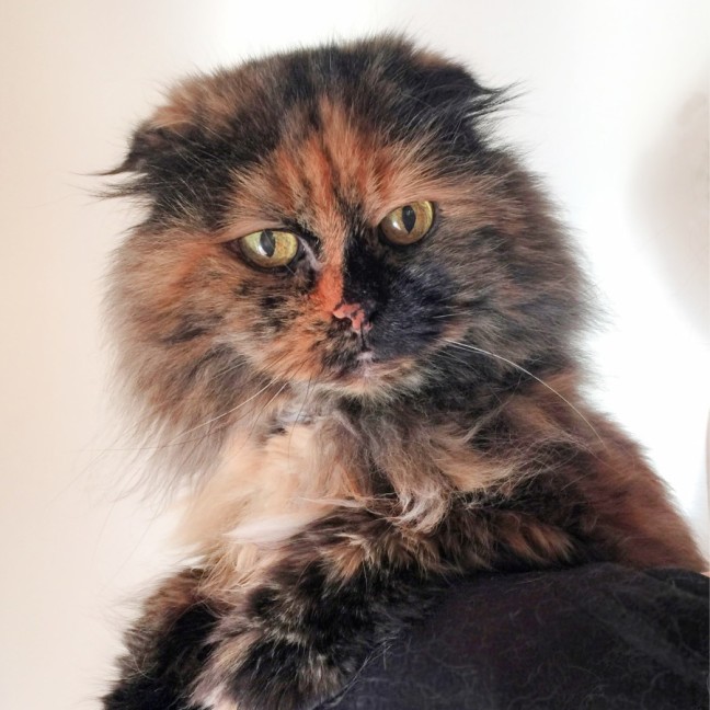 Photo of 🎭Villanelle🎭