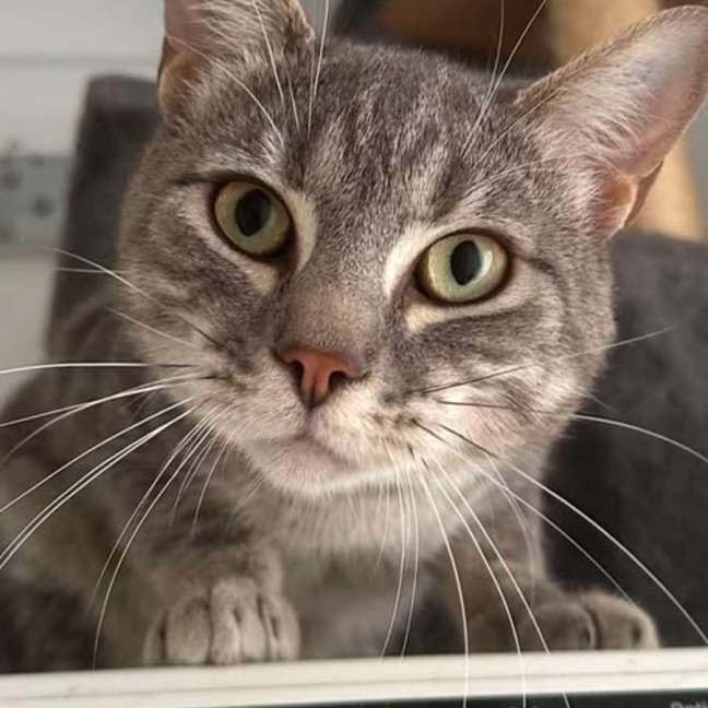 Photo of Leo