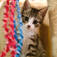 Photo of ☀️ Somersby ☀️